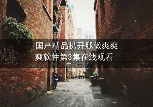 国产精品扒开腿做爽爽爽软件第3集在线观看 - 当欲望与道德激烈碰撞,谁将胜出?