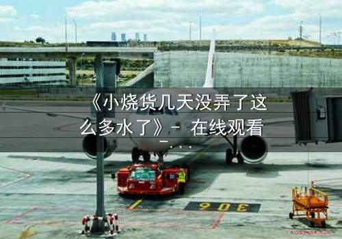 《小烧货几天没弄了这么多水了》- 在线观看 - 当欲望与秘密交织,谁能全身而退?