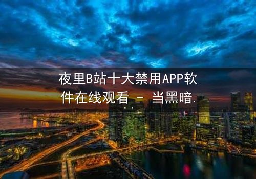 夜里B站十大禁用APP软件在线观看 - 当黑暗降临,你的手机屏幕亮起,禁忌之门悄然开启