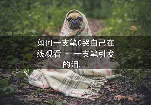 如何一支笔C哭自己在线观看 - 一支笔引发的泪海风暴,你敢直面吗?