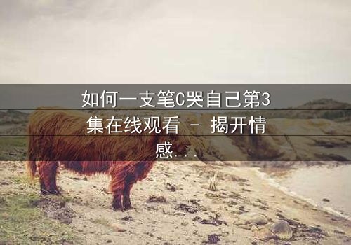 如何一支笔C哭自己第3集在线观看 - 揭开情感风暴的终极秘密