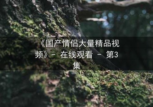 《国产情侣大量精品视频》- 在线观看 - 第3集