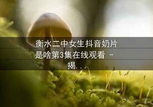 衡水二中女生抖音奶片是啥第3集在线观看 - 揭秘校园隐秘风暴