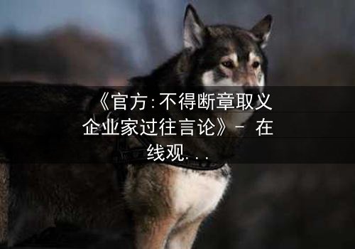 《官方:不得断章取义企业家过往言论》- 在线观看完整无删 - 当真相被剪辑,谁能守护初心?